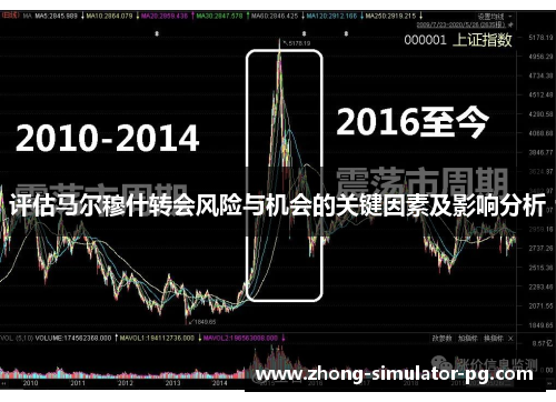 评估马尔穆什转会风险与机会的关键因素及影响分析 评估马尔穆什转会风险与机会的关键因素及影响分析