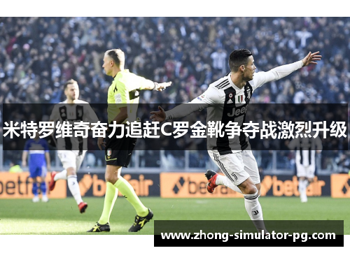 米特罗维奇奋力追赶C罗金靴争夺战激烈升级 米特罗维奇奋力追赶C罗金靴争夺战激烈升级