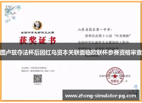 图卢兹夺法杯后因红鸟资本关联面临欧联杯参赛资格审查 图卢兹夺法杯后因红鸟资本关联面临欧联杯参赛资格审查